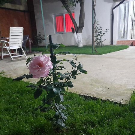 Cazare La Mare Patrascu Apartment Constanta Exterior photo